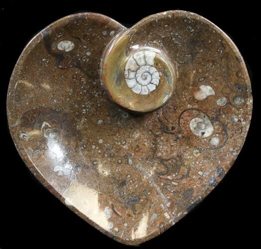 Heart Shaped Fossil Goniatite Dish #39308